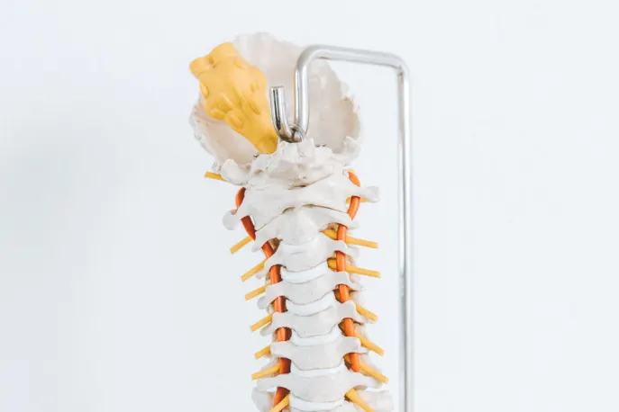 Titelbild für den Kurs Physiotherapie
